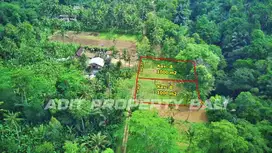 Tanah Kavling Payangan View Jungle & Sungai Ubud Gianyar