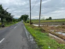 jual tanah murah view bagus dekat jalan utama di tabanan bali.