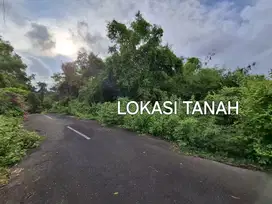 Tanah 19,9 Are dikawasan Pecatu Graha