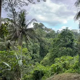 LAHAN DENGAN VIEW BAGUS DI KELIKI, UBUD RIVERSIDE - BALI