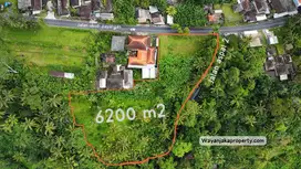 Tanah View Lembah & Hutan Premium Raya Payangan Ubud