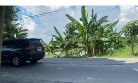 Tambak Gresik Kota jual Murah