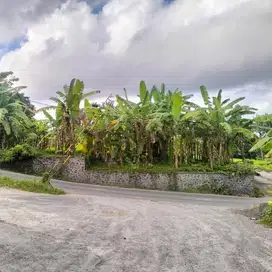 LAHAN VIEW SAWAH DI SINGAPADU, GIANYAR - BALI