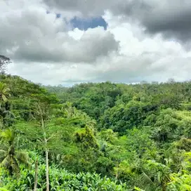 LAHAN BESAR DI VIEW JUNGLE, LEMBAH SUNGAI & LOS SUNGAI, UBUD - BALI