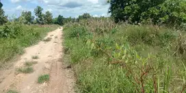 Dijual Tanah Pertanian