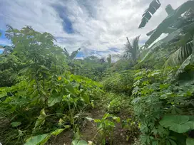 Dijual Tanah luas 1.030M2 di Girian Bitung Sulawesi Utara