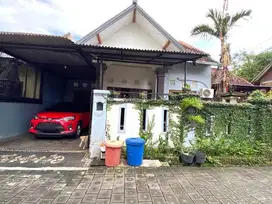 Rumah 1 Lantai di Jalan Sedap Malam Denpasar Selatan Bali