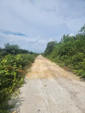 Tanah dikawasan berkembang pesat harga kebun.