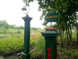 Dijual Tanah Perkarangan  Luas kurang lebih 800m Permeter 1.5jt Bantul