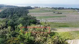 Tanah Murah Kerambitan Tabanan Bali