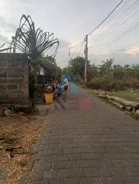 Dijual Tanah dikawasan Jalan Batur Sari Sanur Kauh Denpasar Selatan
