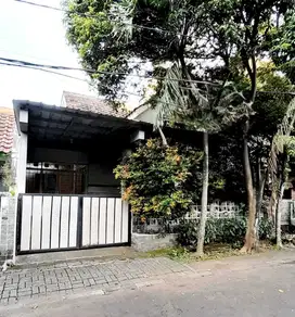 Rumah Standard Lokasi bagus Tanah Luas  Anggeek Loka BSD