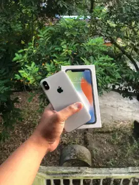 Iphone X 256gb Inter All operator