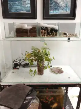 Aquarium besar juga kecil