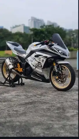 Kawasaki Ninja 250 F1