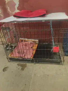 Jual kandang kucing