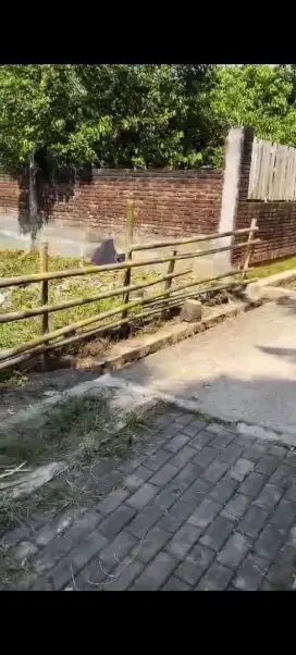 Tanah darat cocok utk rumah tinggal ato tempat kost