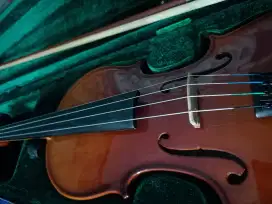 violin Skylark 1/4 + Case