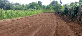 Kavling Tanah Cocok Untuk Villa Atau Rumah 30x Cicilan Gratis SHM