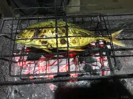 Asisten Chef / Helper