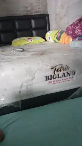 Kasur Anak Merek Bigland