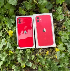 Iphone 11 64gb ibox
