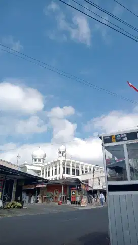 ajakin kerja dong, saya umur 19 tahun