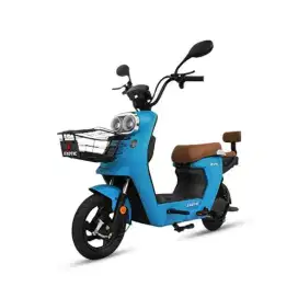 Sepeda Listrik Exotic X-650