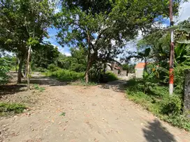 Tanah Murah di Sleman Hanya 2,1jt Saja/m2 nya Lokasi dekat Pasar Ngino
