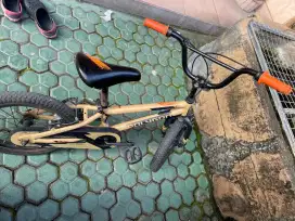 Polygon 16 inch