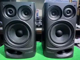 SPEKER AIWA SX-N520