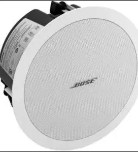 Bose ds 40 f free space speaker