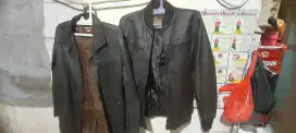 Jaket kulit asgar