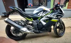 Kawasaki Ninja 250SL / Ninja mono