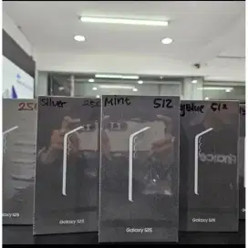 samsunh galaxy s25