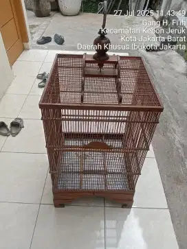 Kandang burung no 1 cocok buat burung gede