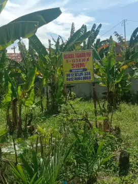 Dijual tanah SHM Dibelakang UNIMED samping Perumahan Citraland