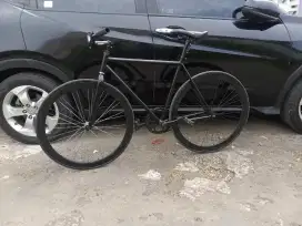 Jual sepeda fixie doltrap