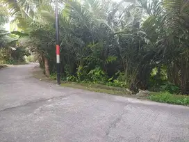 TANAH LUAS MURAH DI KAWASAN KEBUN SALAK WONOKERTO TURI SLEMAN YOGYA