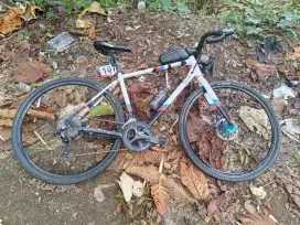 Sepeda Polygon Path 2
