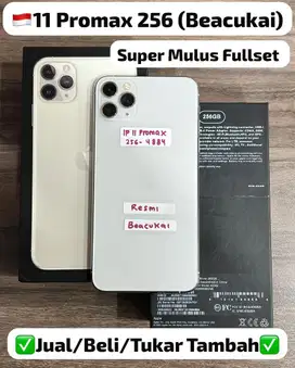 Iphone 11 Pro Max 256gb Silver