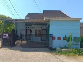Dijual Cepat Rumah daerah Cirebon dekat Ponpes Al Bahjah pusat