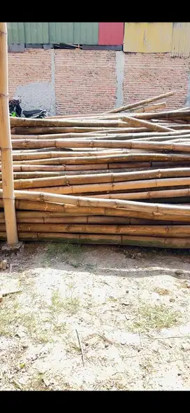 Di jual bambu ori bekas dak ada 600 btg an