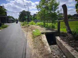Tanah Sawah Luas & Strategis di Bantul – Dekat ISI Jogja, Harga Nego!