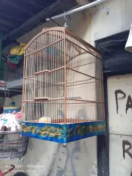 Kandang No 1 siap pakai