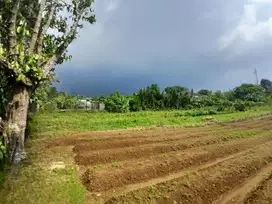 Tanah Kavling Nuansa Pegunungan Harga Promo di Bogor Ciapus – SHM