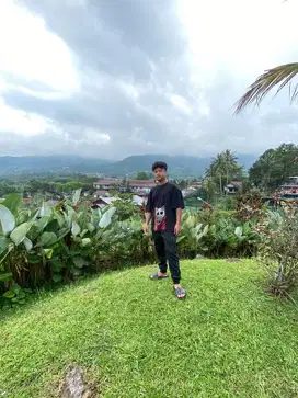 Supir pribadi/supir antar jemput