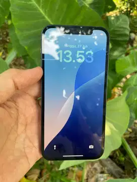 Iphone 12 256gb Beacukai