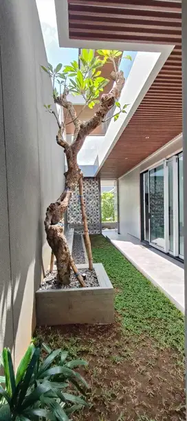 DIJUAL RUMAH MEWAH BERKONSEP VILLA DI GOLF CITRALAND