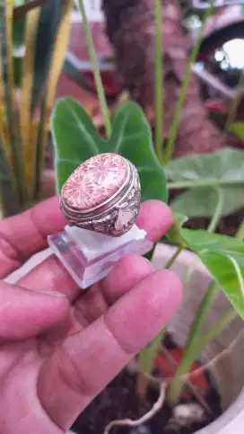 Akik Teratai Kembar